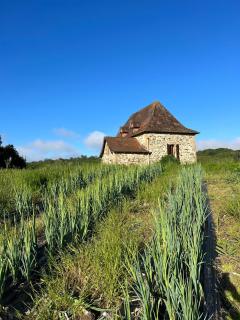 The Combet Farm Exclusive retreat in lush nature - 1