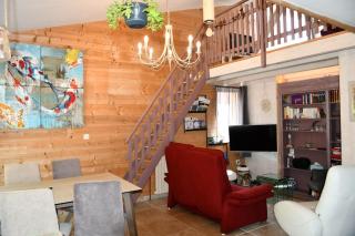 Le cincle - La Bresse - 7