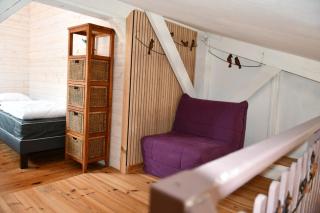 Le cincle - La Bresse - 2