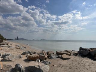 Papa House Standard Zone A - 1