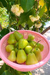 Bi Ti Guest House Mui Ne - Private Beach & Coffe - Ấp Long Sơn - 7