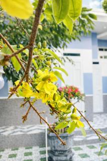 Bi Ti Guest House Mui Ne - Private Beach & Coffe - Ấp Long Sơn - 6