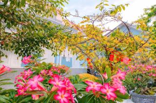 Bi Ti Guest House Mui Ne - Private Beach & Coffe - Ấp Long Sơn - 5