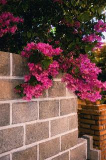 Bi Ti Guest House Mui Ne - Private Beach & Coffe - Ấp Long Sơn - 2