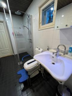 Forest Villa, sauna and jacuzzi on the edge of the city center - 3