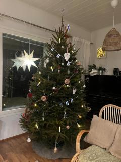 Forest Villa, sauna and jacuzzi on the edge of the city center - 2