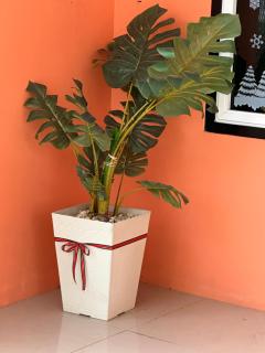 Papa House Standard Zone A - 5