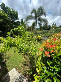 Albion Nest Galle - 8