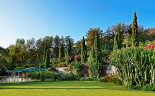 Sianji Well-Being Resort - 8