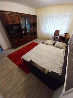 Apartment with 2 rooms Nicolina Iași 4 - 2