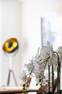 Residenz Mont Royal - Traben-Trarbach - 5