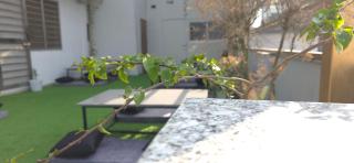 Devlok Homes - Rishikesh - 3