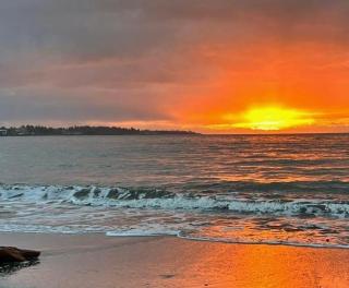 Oceanside Nature Resort - 9