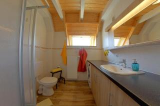 SV2 Hans Albers 1 - 5