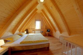 SV2 Hans Albers 1 - 2