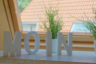 SV4 Lale Andersen 24 - Buhne 24 - 6