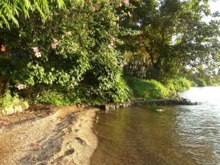 Eagle Nest on Kivu lake - 8