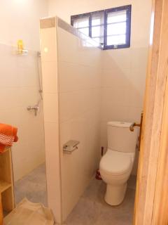 Eagle Nest on Kivu lake - 4