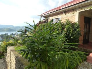 Eagle Nest on Kivu lake - 5