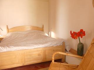 Eagle Nest on Kivu lake - 8