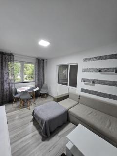 Apartment for rent with 3 rooms Iași PR07 - 0