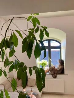 The historical Posthallen in the heart of Oslo - 9