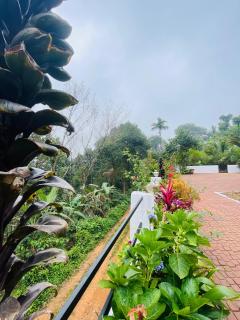 Eco Eden Homestay - 7