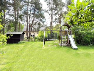 Kiefernwäldchen - 5