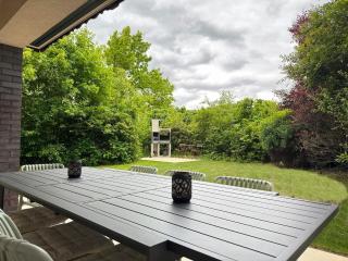 Kiefernwäldchen - 4