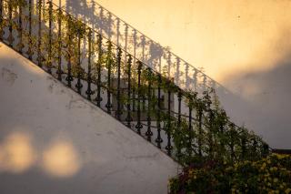 Eighteen21 Houses - Casa dos Condes - 7