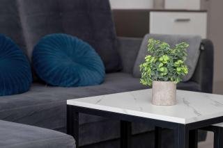 Comfortable Apartment with Access to the Gym and Parking by Noclegi Renters - 1