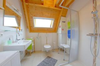 SV3 Lale Andersen 7 Wiesenpieper - 3