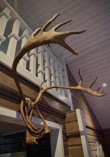 ReindeerCabin PoroMökki LEVI - 5