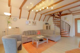 SV2 Robbenplate 17 - 8