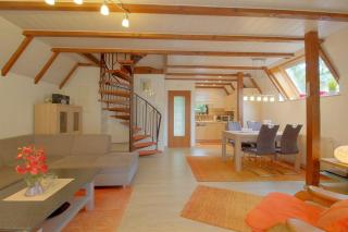 SV2 Robbenplate 17 - 7