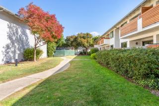 Cupertino 2br w bbq parking wd near 280 SFO-1438 - 9