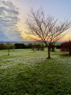 La Villa Mellifera - Cernay-lès-Reims - 9