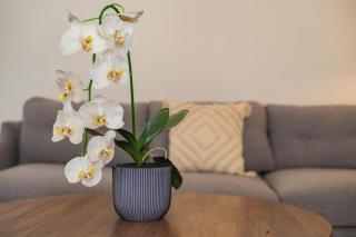 Saowanee 16 - 3BR Pool Villa Lamai Samui - 7