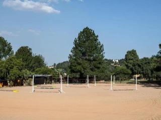 The Horseshoe Guesthouse - 3