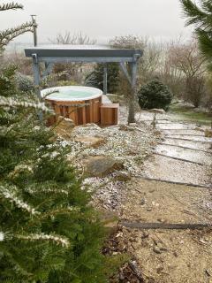 La Villa Mellifera - Cernay-lès-Reims - 6