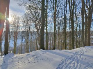 Moderne Ferienwohnung mit privatem Eingang - ROSA - Kalletal - 7