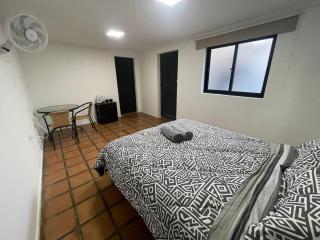 Suite Privada con Jacuzzi, Centro de Curicó, Ideal Parejas - 4