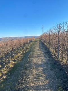 Casa a Roddi con vista sulle Colline - Roddi - 6