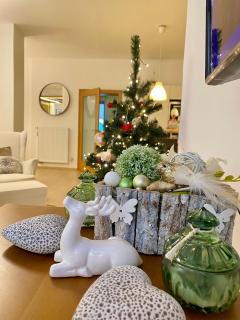 Dům u lázní Federer - Třeboň - 8