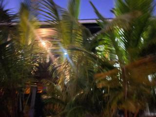 Beach House Carenero - 7