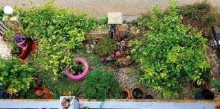 Art and view-studio - 5