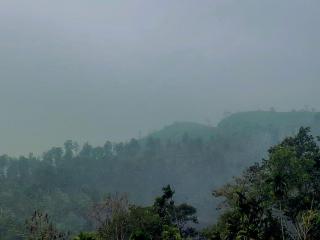 River cottage Demodara - 2