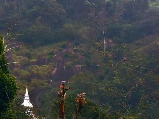 River cottage Demodara - 3