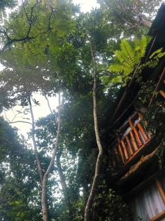 River cottage Demodara - 7