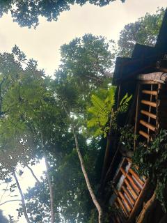 River cottage Demodara - 8